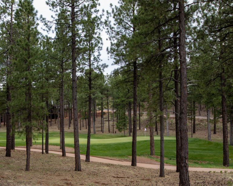 photo depicting the ambiance of a flagstaff golf course community and a green amongst the pine trees